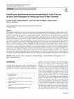 Research paper thumbnail of A multi-proxy geochemical and micromorphological study of the use of space and stratigraphy of a Viking-age house in Ribe, Denmark