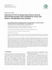 Expression of CD24 in Human Bone Marrow-Derived Mesenchymal Stromal Cells Is Regulated by TGF<i>β</i>3 and Induces a Myofibroblast-Like Genotype Cover Page