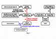 Research paper thumbnail of Magnesium isotope fractionation during carbonatite magmatism at Oldoinyo Lengai, Tanzania