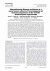 Research paper thumbnail of Inbreeding and disease resistance in a social insect: effects of heterozygosity on immunocompetence in the termite Zootermopsis angusticollis