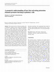 Research paper thumbnail of A geometric understanding of how fast activating potassium channels promote bursting in pituitary cells