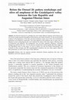 Research paper thumbnail of Before the Dressel 20: pottery workshops and olive oil amphorae of the Guadalquivir valley between the Late Republic and Augustan-Tiberian times