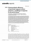 Research paper thumbnail of Photosynthetic efficiency of perennial ryegrass (Lolium perenne L.) seedlings in response to Ni and Cd stress