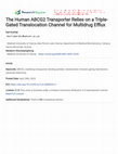 Research paper thumbnail of The Human ABCG2 Transporter Relies on a Triple-Gated Translocation Channel for Multidrug Efflux