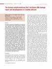 Research paper thumbnail of The histone acetyltransferase Hat1 facilitates DNA damage repair and morphogenesis in<i>Candida albicans</i>