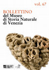 BOLLETTINO del Museo di Storia Naturale di Venezia PATTERNS OF DIVERSITY OF MACROALGAL ASSEMBLAGES ON BIOGENIC OUTCROPS IN THE NORTHERN ADRIATIC SEA Cover Page