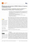 Research paper thumbnail of Keratinocytes and Activation of TREM-1 Pathway in Cutaneous Leishmaniasis Lesions