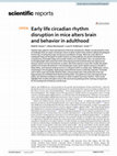 Early life circadian rhythm disruption in mice alters brain and behavior in adulthood Cover Page