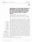 Anticipation of Scheduled Feeding in BTBR Mice Reveals Independence and Interactions Between the Light- and Food-Entrainable Circadian Clocks Cover Page