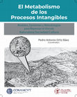 Metabolismo de proceso intangibles Cover Page