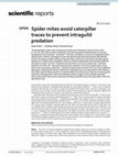 Research paper thumbnail of Spider mites avoid caterpillar traces to prevent intraguild predation