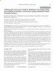 A Photographic Assessment of Smile by Modifying Crown Height, Width and Angulation of Maxillary Lateral Incisor among Orthodontic Patients of Karachi, Pakistan Cover Page