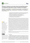 Dynamics of Biomass and Carbon Stocks during Reforestation on Abandoned Agricultural Lands in Southern Ural Region Cover Page