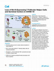 Research paper thumbnail of The Loss of Bcl-6 Expressing T Follicular Helper Cells and the Absence of Germinal Centers in COVID-19