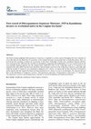 Research paper thumbnail of First record of Dikerogammarus bispinosus Martynov, 1925 in Kazakhstan: invasive or overlooked native in the Caspian Sea basin?