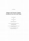 Wages and Human Capital: Evidence from the Irish Data Cover Page