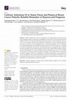 Research paper thumbnail of Carbonic Anhydrase IX in Tumor Tissue and Plasma of Breast Cancer Patients: Reliable Biomarker of Hypoxia and Prognosis