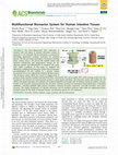 Multifunctional Bioreactor System for Human Intestine Tissues Cover Page