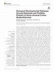 Divergent Developmental Pathways Among Staminate and Pistillate Flowers of Some Unusual Croton (Euphorbiaceae) Cover Page