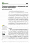 Unveiling the Antioxidant Arsenal of Colored Sorghum: A Path to Functional Food Development Cover Page