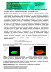 Superfícies Quadráticas: propostas de construções dinâmicas Cover Page