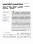 Green emitting β$\ubeta$‐SiAlON:Eu 2+ phosphors derived from chemically modified perhydropolysilazanes Cover Page