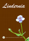 Lindernia Cover Page