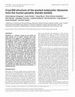 Cryo-EM structure of the ancient eukaryotic ribosome from the human parasite Giardia lamblia Cover Page