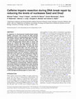 Caffeine impairs resection during DNA break repair by reducing the levels of nucleases Sae2 and Dna2 Cover Page