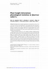 Plant height determines phenological variation in Quercus suber L Cover Page