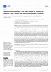 Interstitial Macrophages Lead Early Stages of Bleomycin-Induced Lung Fibrosis and Induce Fibroblasts Activation Cover Page