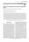 Dichotomy in morphology of the same genetic lineage of green turtles Cover Page