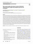 New records of pollen tube shower in species of Bertolonia (Melastomataceae) suggest that autogamy may be the rule in the genus Cover Page