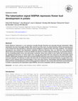 The tuberization signal StSP6A represses flower bud development in potato Cover Page