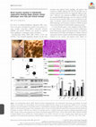 Research paper thumbnail of Novel nicastrin mutation in hidradenitis suppurativa–Dowling–Degos disease clinical phenotype: more than just clinical overlap?