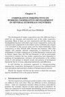 Research paper thumbnail of Comparative perspective on worker cooperative development in several European countries