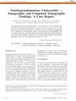 Xanthogranulomatous Cholecystitis — Sonographic and Computed Tomographic Findings: A Case Report Cover Page