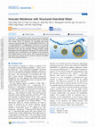 Research paper thumbnail of Vesicular Membrane with Structured Interstitial Water