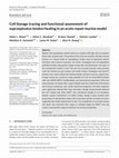 Cell lineage tracing and functional assessment of supraspinatus tendon healing in an acute repair murine model Cover Page