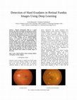 Detection of Hard Exudates in Retinal Fundus Images Using Deep Learning Cover Page