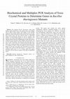 Biochemical And Multiplex Pcr Analysis Of Toxic Crystal Proteins To Determine Genes In Bacillus Thuringiensis Mutants Cover Page