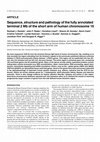 Sequence, structure and pathology of the fully annotated terminal 2 Mb of the short arm of human chromosome 16 Cover Page