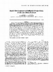 Early development of efferent projections from the chick tectum Cover Page