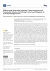 Influent with Particulate Substrate, Clean, Innocuous and Sustainable Solution for Bulking Control and Mitigation in Activated Sludge Process Cover Page