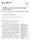 Transcriptional Regulation of Plant Biomass Degradation and Carbohydrate Utilization Genes in the Extreme Thermophile Caldicellulosiruptor bescii Cover Page