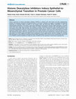 Histone Deacetylase Inhibitors Induce Epithelial-to-Mesenchymal Transition in Prostate Cancer Cells Cover Page