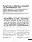 Diversity of naturally occurring Epstein-Barr virus revealed by nucleotide sequence polymorphism in hypervariable domains in the BamHI K and N subgenomic regions Cover Page