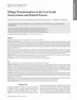 Malign transformation in the low grade astrocytomas and related factors Cover Page