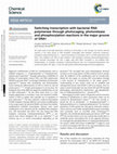 Switching transcription with bacterial RNA polymerase through photocaging, photorelease and phosphorylation reactions in the major groove of DNA Cover Page