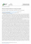 Thermo-mechanical behavior of energy micropiles Cover Page